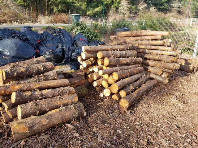 logs-stacked-ready-to-go.jpg