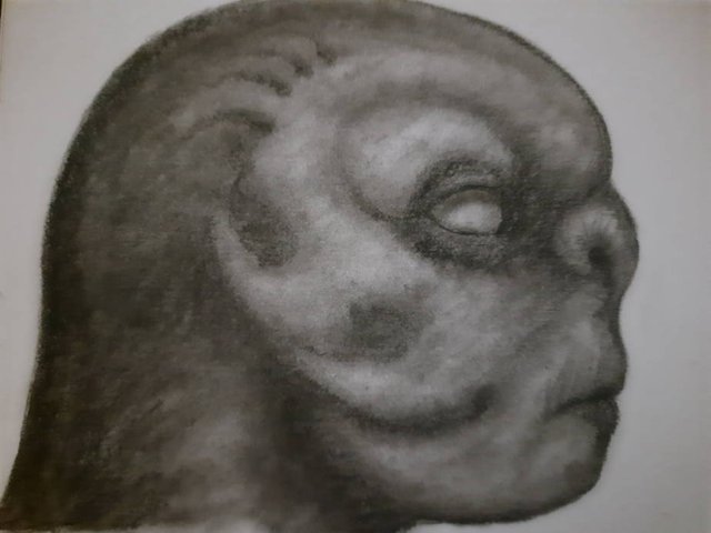 20250725_105253.jpg
