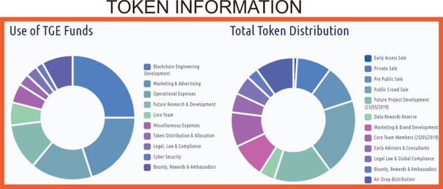 YDS TOKEN.jpg