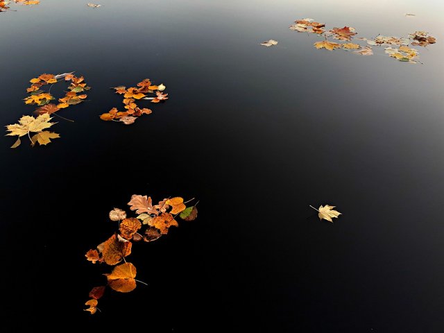 420-Nicht-gesehen-werden-Wasser-Herbst-3752907_1280_Pixabay_PozitiveDezign.jpg