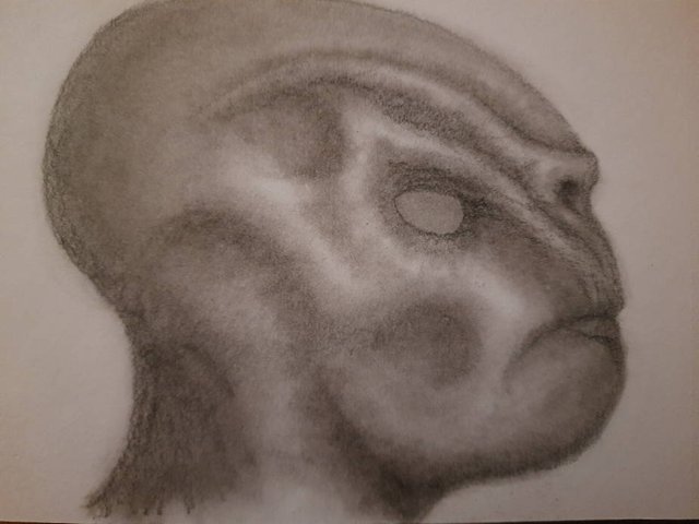 20250517_111912.jpg