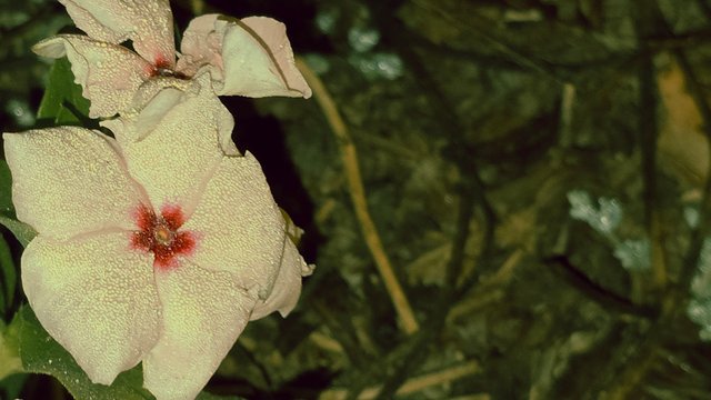 20241210_021754 (1).jpg