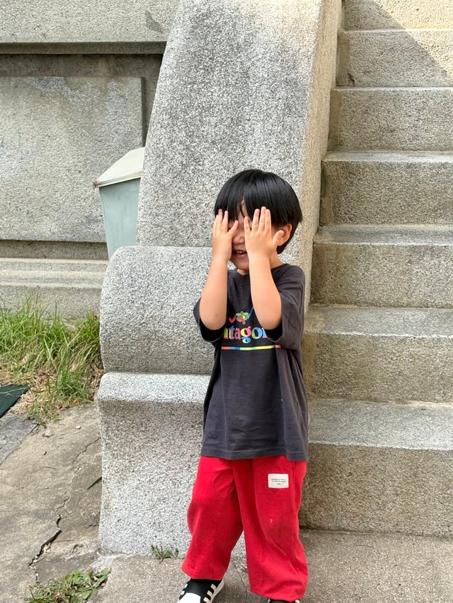IMG_4986.jpeg
