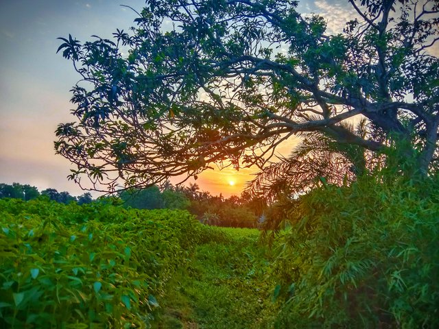 IMG_20250518_201639.jpg
