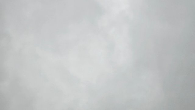 1000133915.jpg