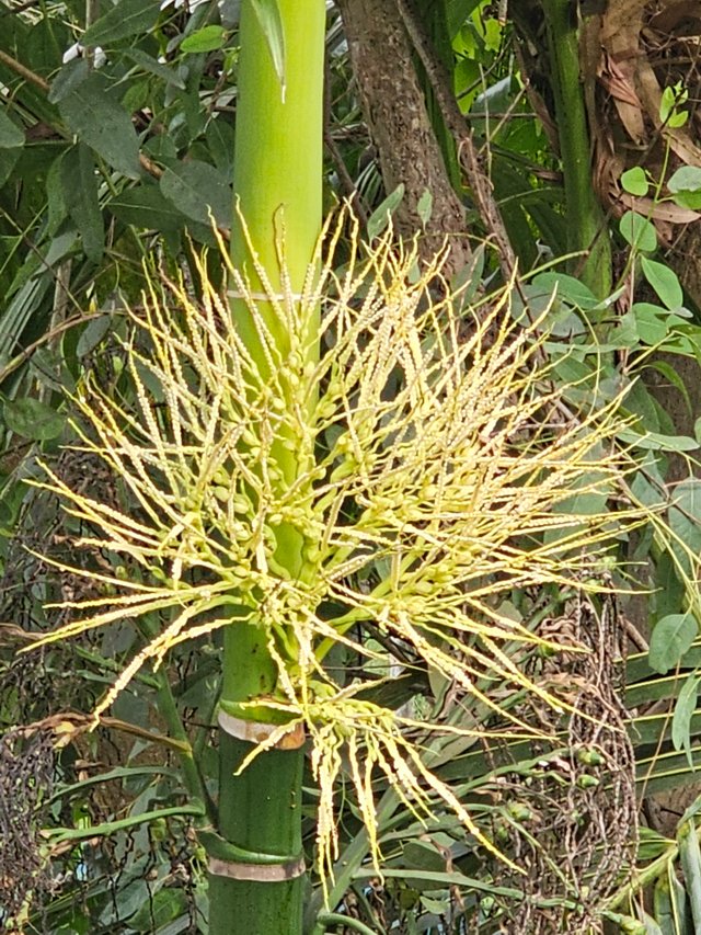 20250427_083732.jpg
