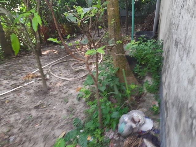 20230809_160422.jpg