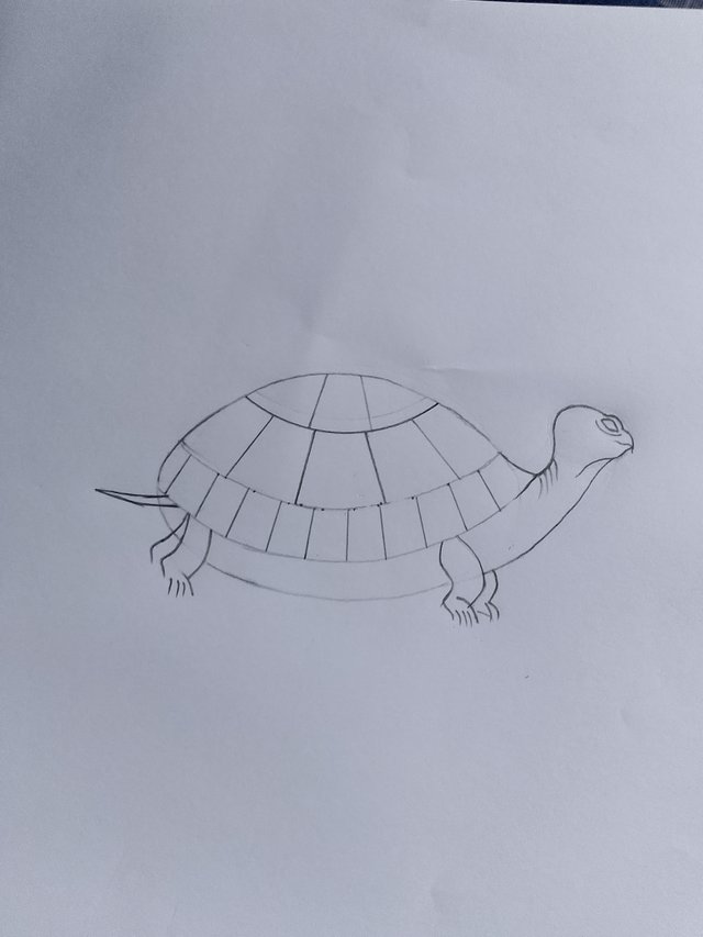 1000053262.jpg