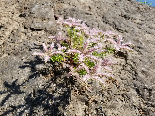 20190517_083309.jpg