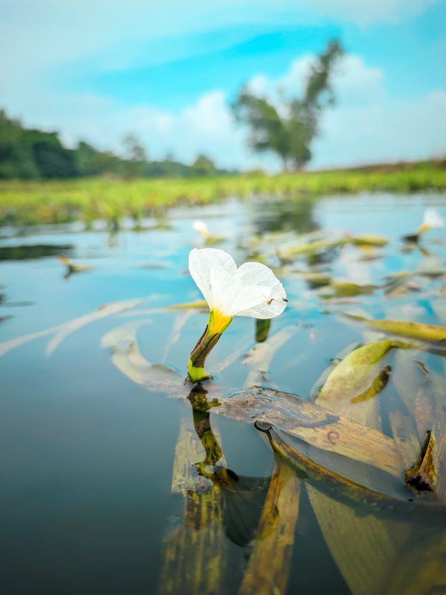 Raju20250906_100122_Vivid Human Portrait By Light Editz.jpg