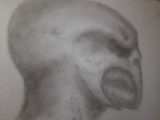 20250418_104914.jpg