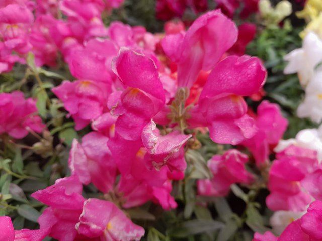 20230126_101401.jpg