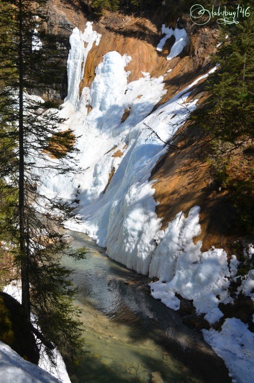 johnston_canyon11.jpg