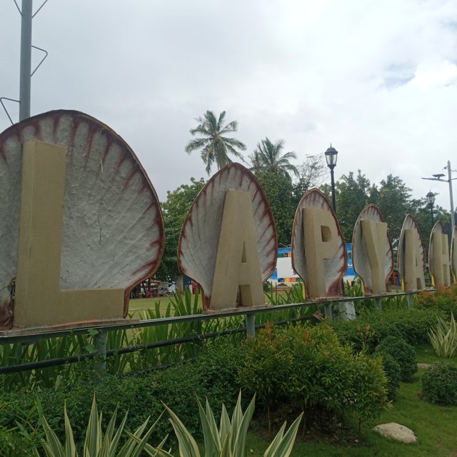 20250503_125237.jpg