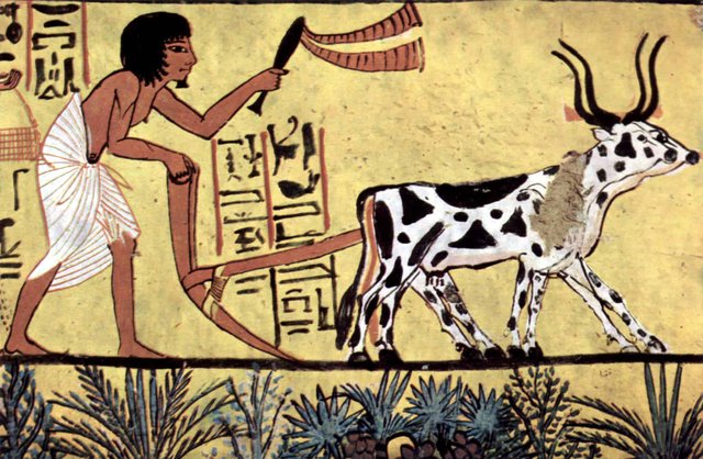 north-african-agricultural-civilization-ancient-egyptians.jpg