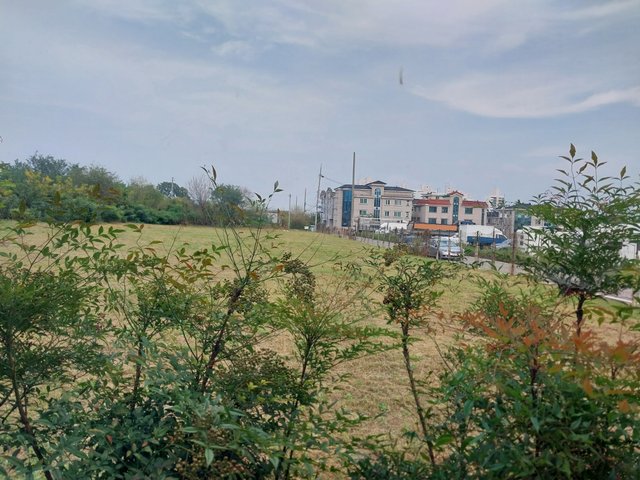 1000012287.jpg