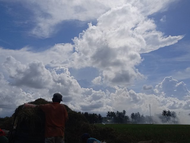 IMG20210107151434.jpg
