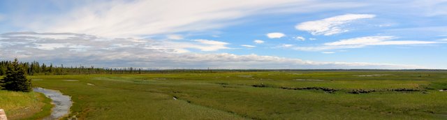 pano23 wetlands looking toward road cropped edited resized.jpg