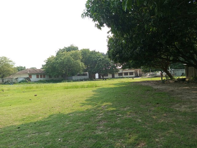 IMG_20250426_153714_908.jpg