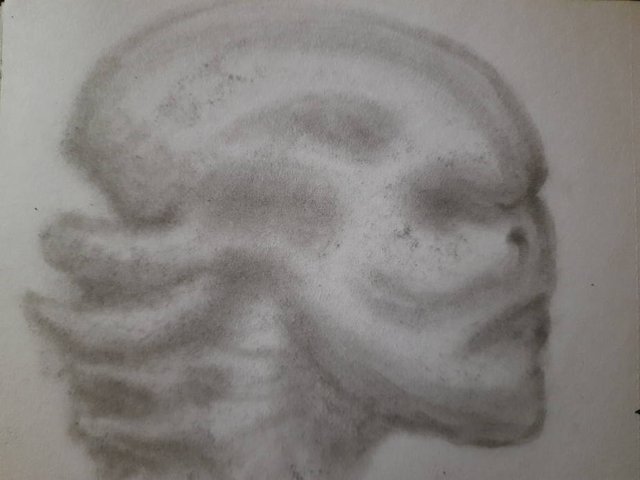 20250514_110138.jpg