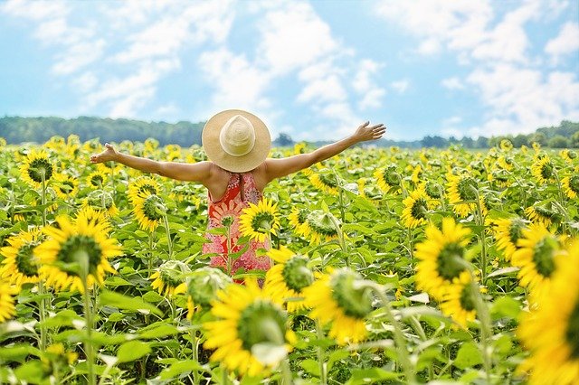 woman arms stetched wide open in field of sunflowers.jpg