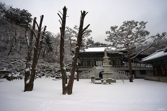 w-DSC00084.jpg