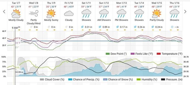 weather_0_wunderground-web-page-on-phone.jpg