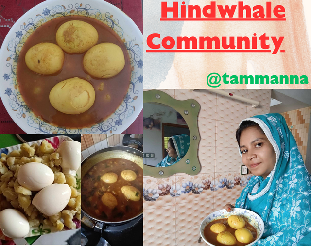 Hindwhale Community (1).png