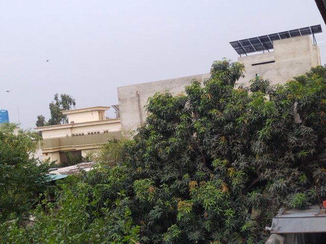 IMG_20250622_185842.jpg