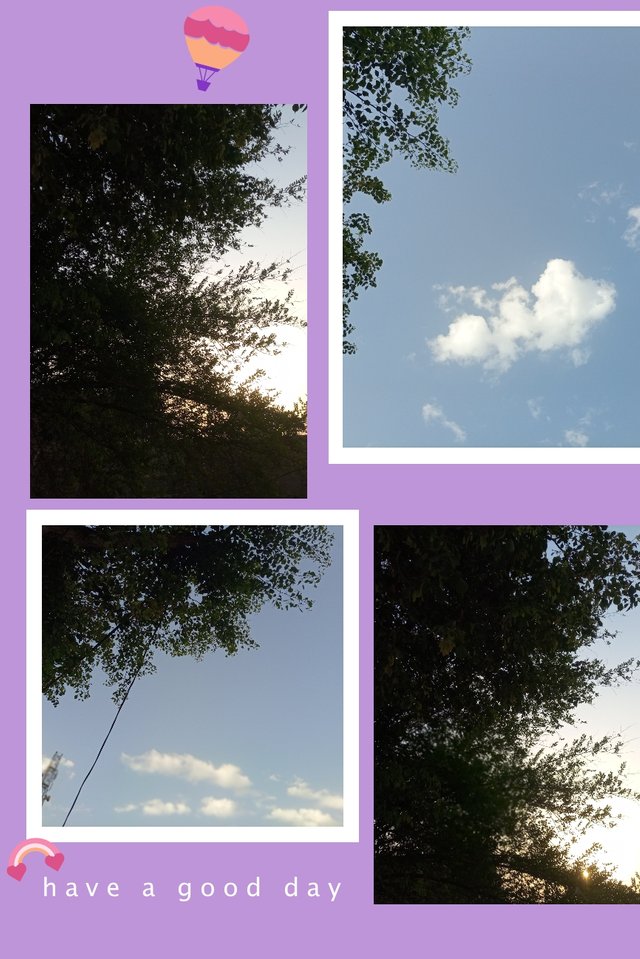 img_1748914294248.jpg