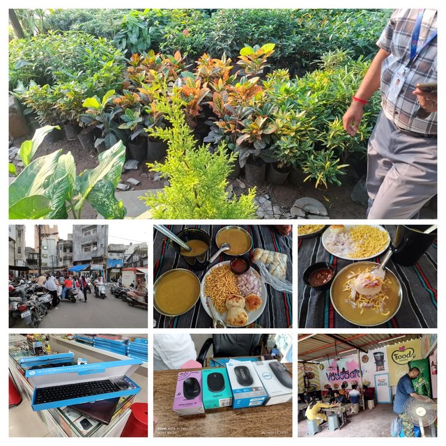IMG_20251005_143839-COLLAGE.jpg