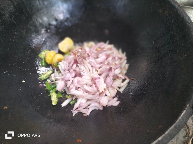 IMG20250425135524.jpg
