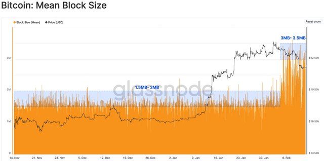 ordinals_lead_to_bitcoin_3.jpg