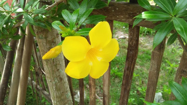 IMG20220902100256.jpg