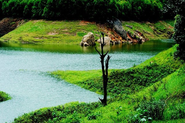 Kerala National Park.jpeg