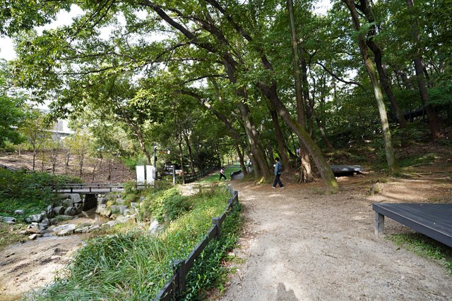 b-DSC02468.JPG
