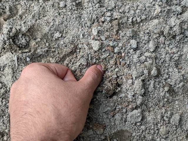 1000031983.jpg
