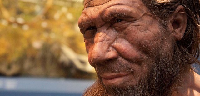 neanderthal-model-full-width.jpg.thumb.1160.1160.jpg