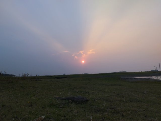 IMG_20240514_180821.jpg