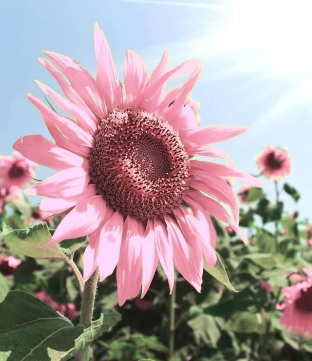 IMG_20250925_114833.jpg
