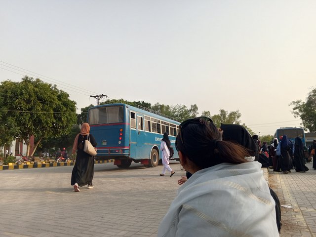 1000027327.jpg