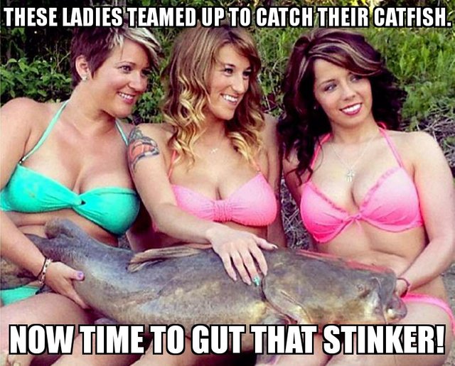 catfish_ted_finned.jpg