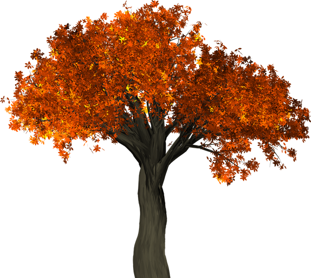 tree-1658813_1280.png