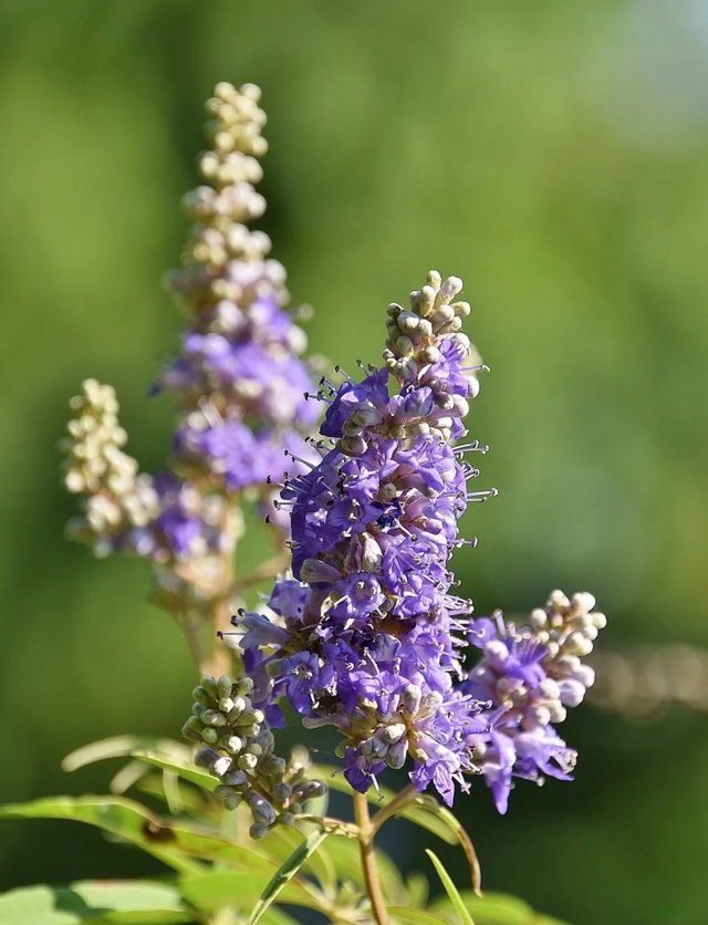 IMG_20250713_083557.jpg