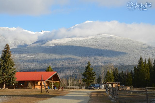 valemount3.jpg