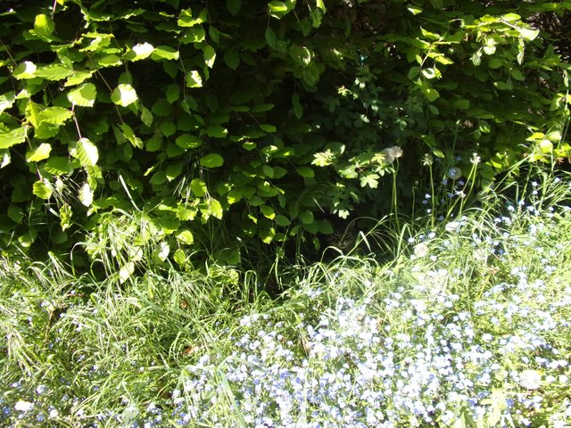 100_2631.JPG