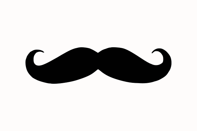 moustache-303571_640.png