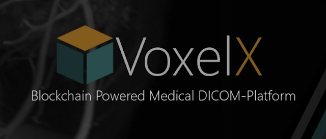 VOXELIX1.png