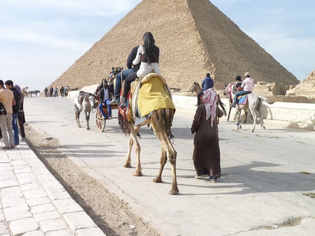 egypt-492713_1920.jpg