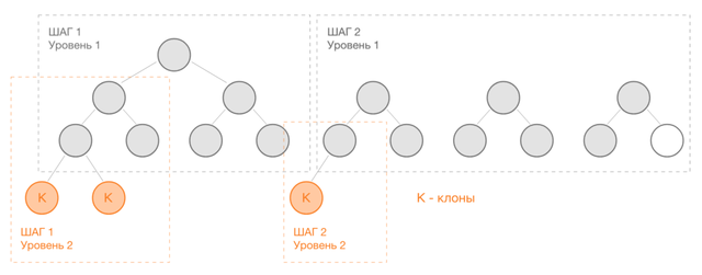 Step-by-Step-klony-perelivy-1024x401.png